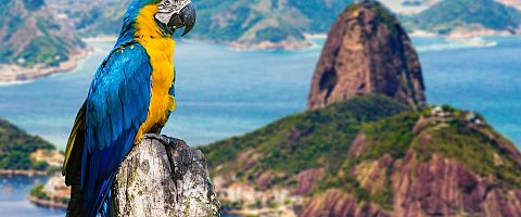 Rio De Janeiro